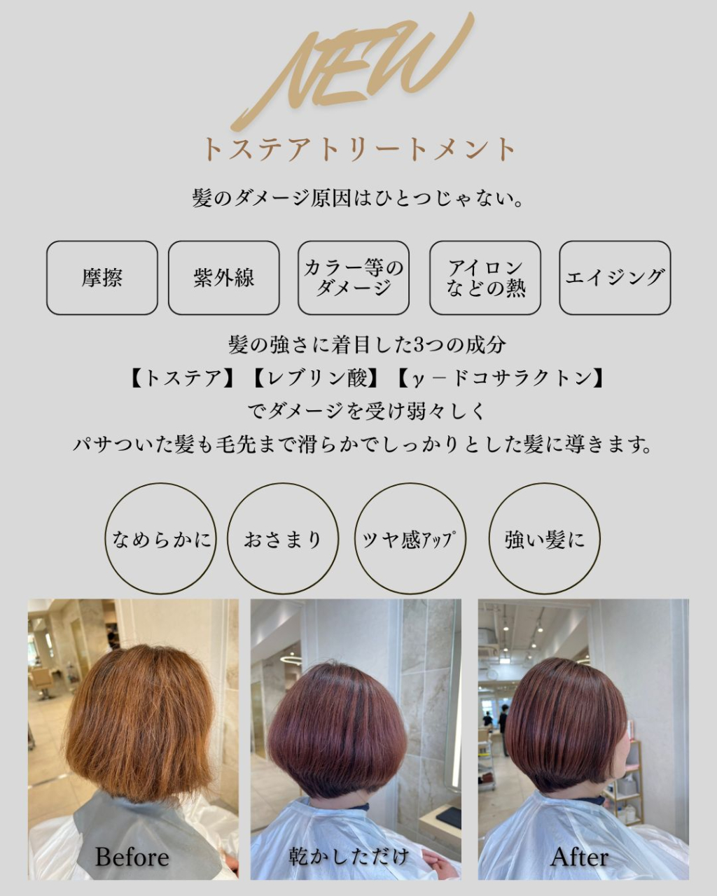 神楽坂ﾄｽﾃｱ①